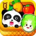 中国四将同一天获胜小布夺冠创男网历史，拉杜卡努再次吞蛋丢冠
